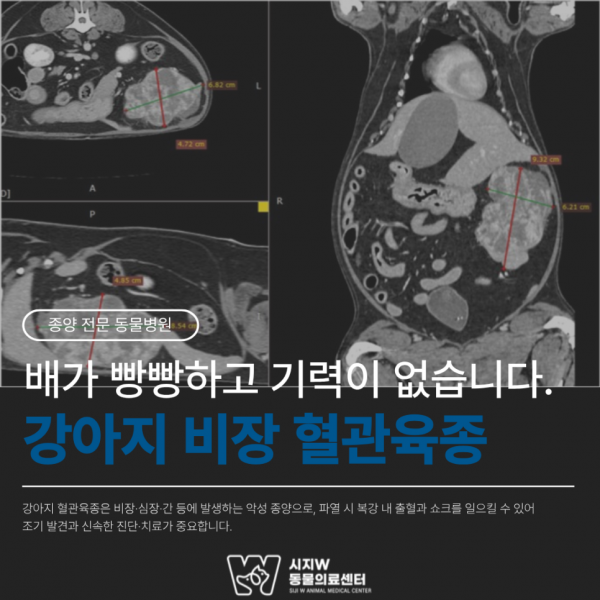 5d1da870373b0b126ad0aa5b34b35bdd_1791439306_4498.png