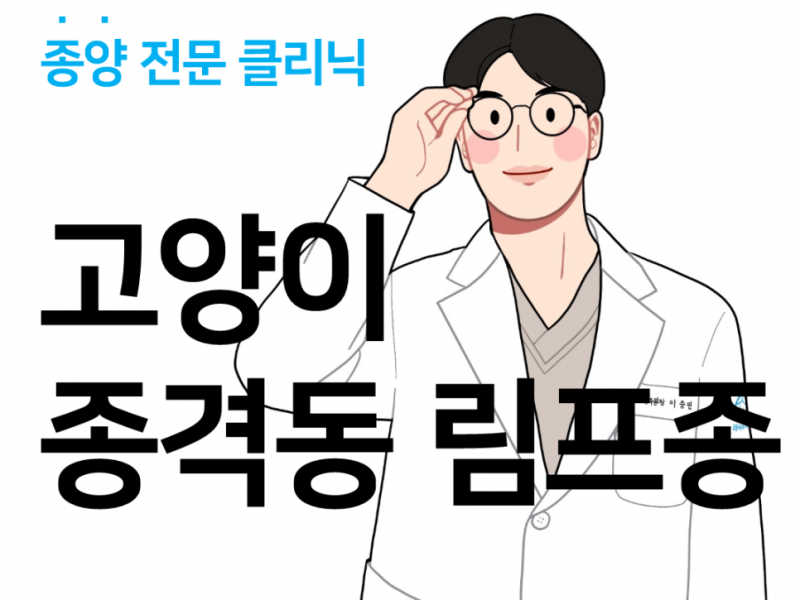 경산 동물병원 : 호흡을 힘들어 합니다. - 고양이 종격동 림프종