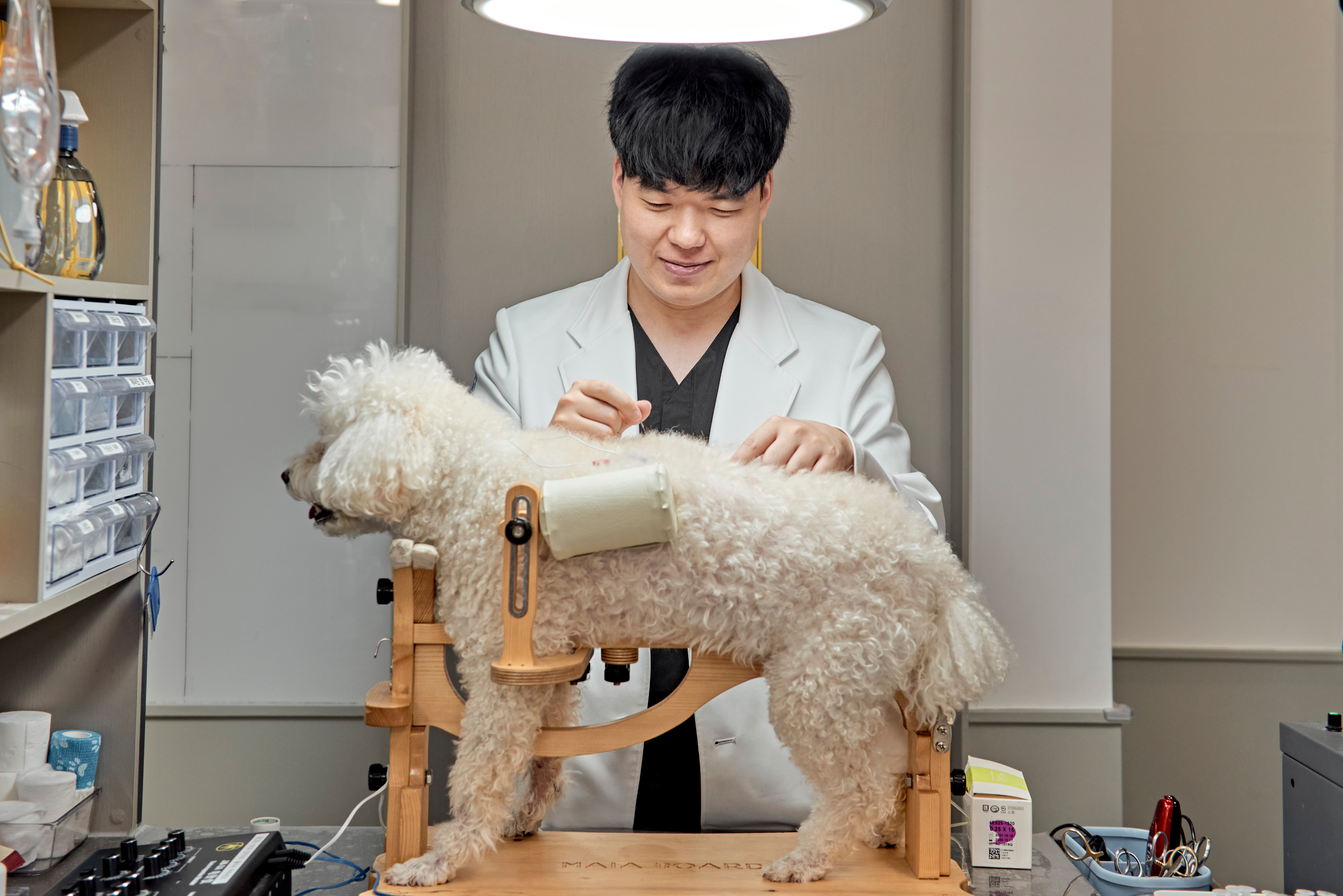 특성화 센터