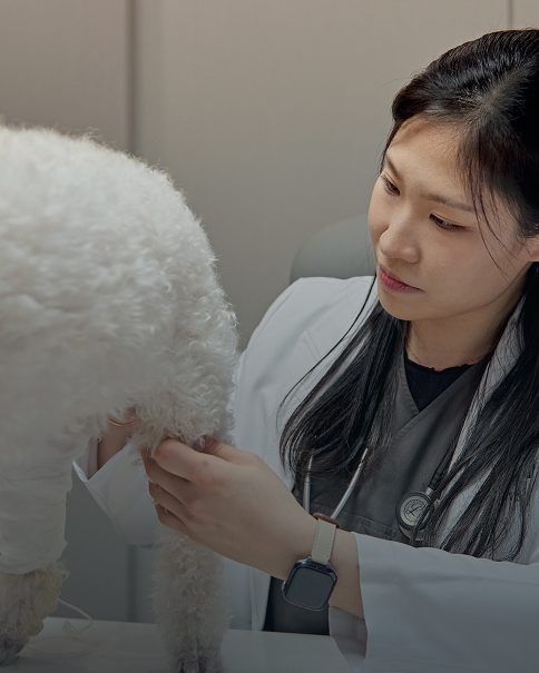 건강검진